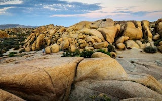 Jumbo Rocks Campground