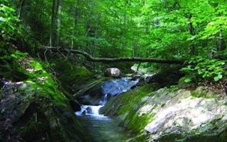 Chittenden Brook Campground