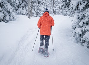 Essential Gear for Winter Activities