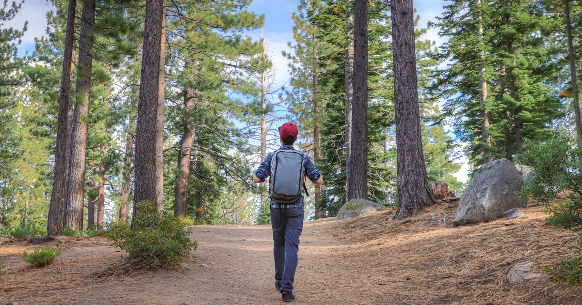 black diamond creek mandate 28 review