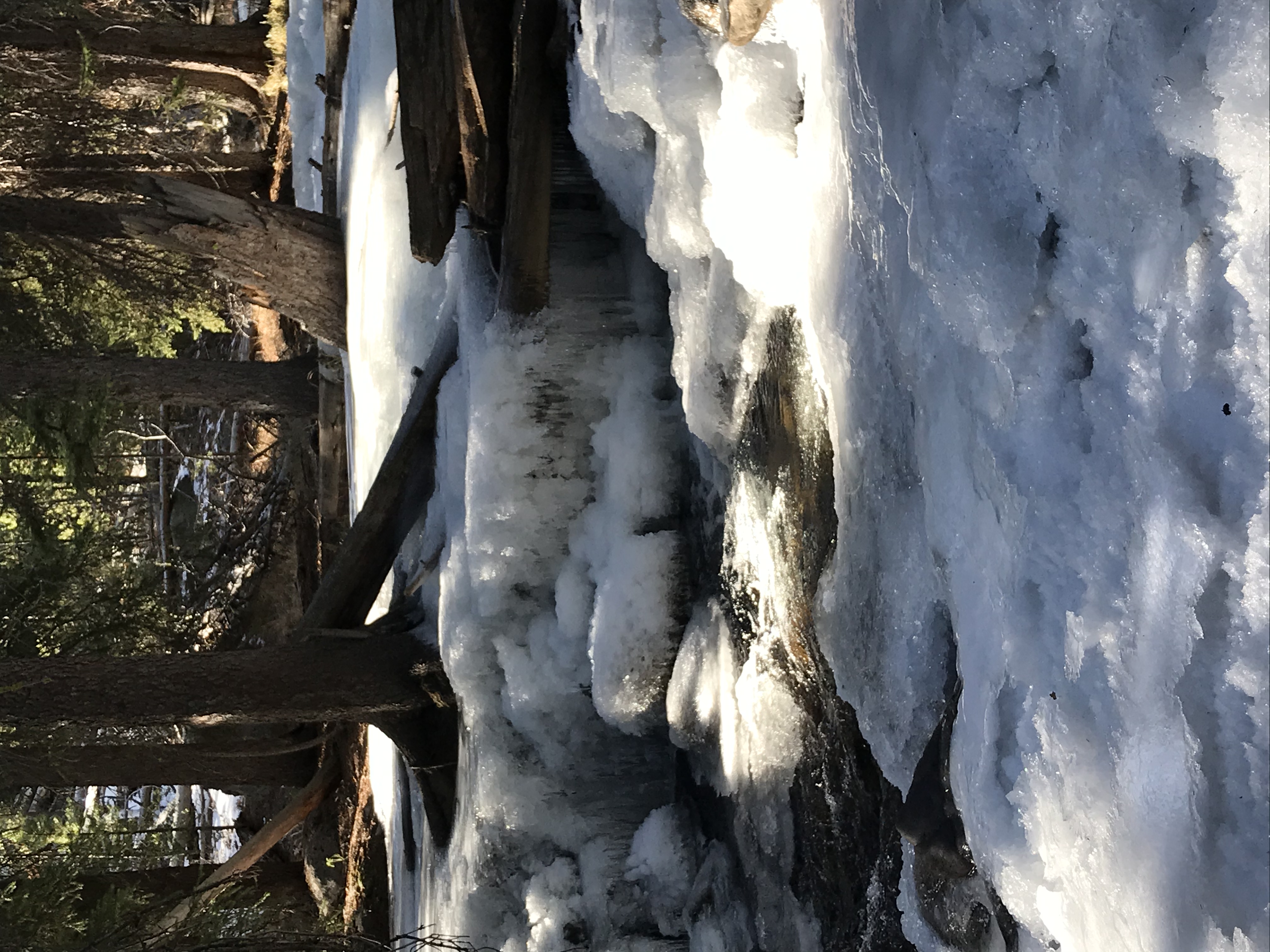 Fishhook Creek Trail