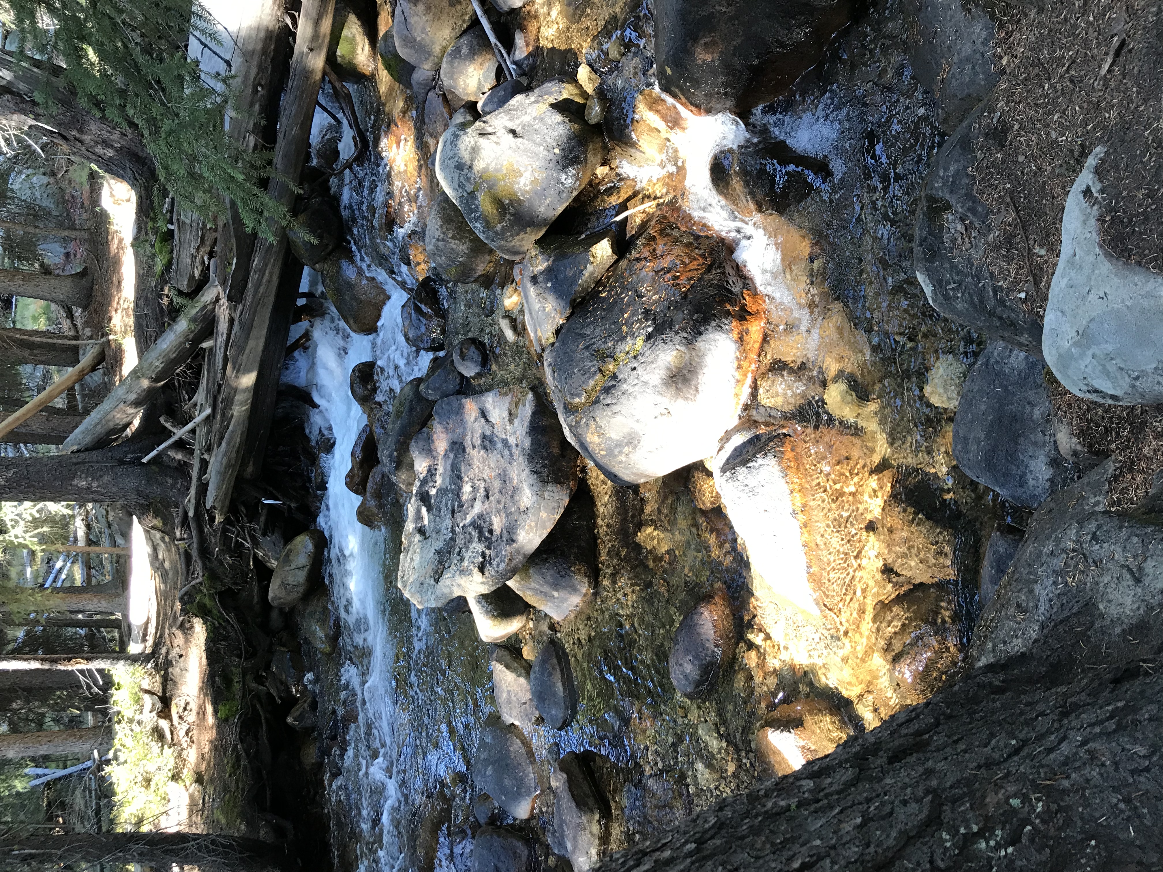 Fishhook Creek Trail