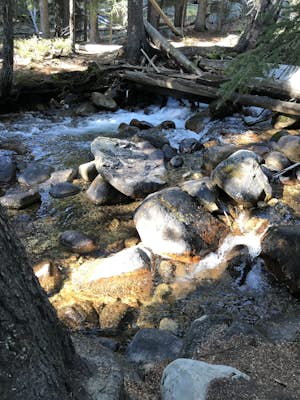 Fishhook Creek Trail