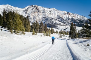 7 Spots to Go Nordic Skiing This Winter
