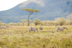 Explore Hell's Gate National Park