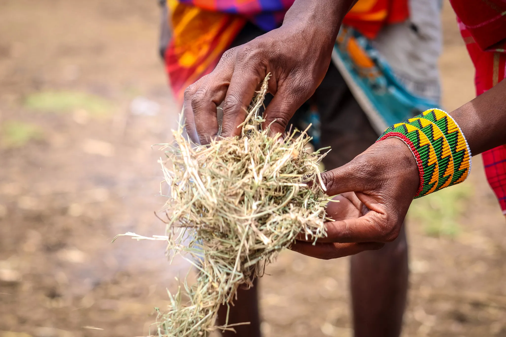 Visit the Masai Mara Tribe