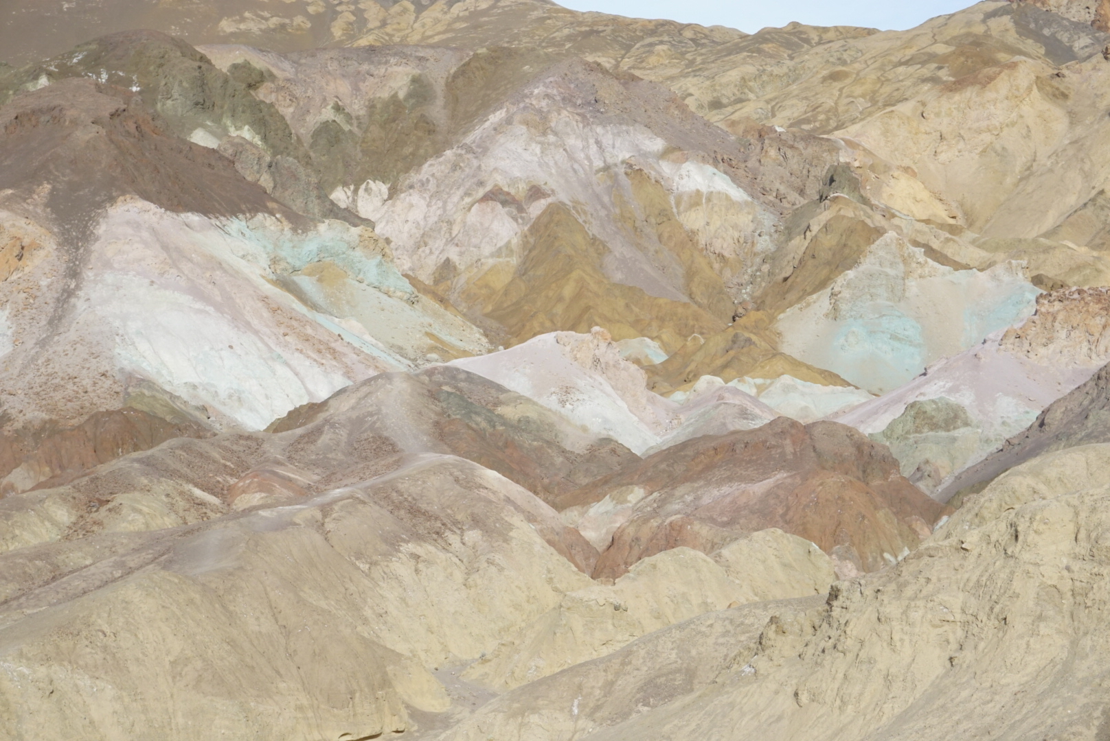 Artist's Palette
