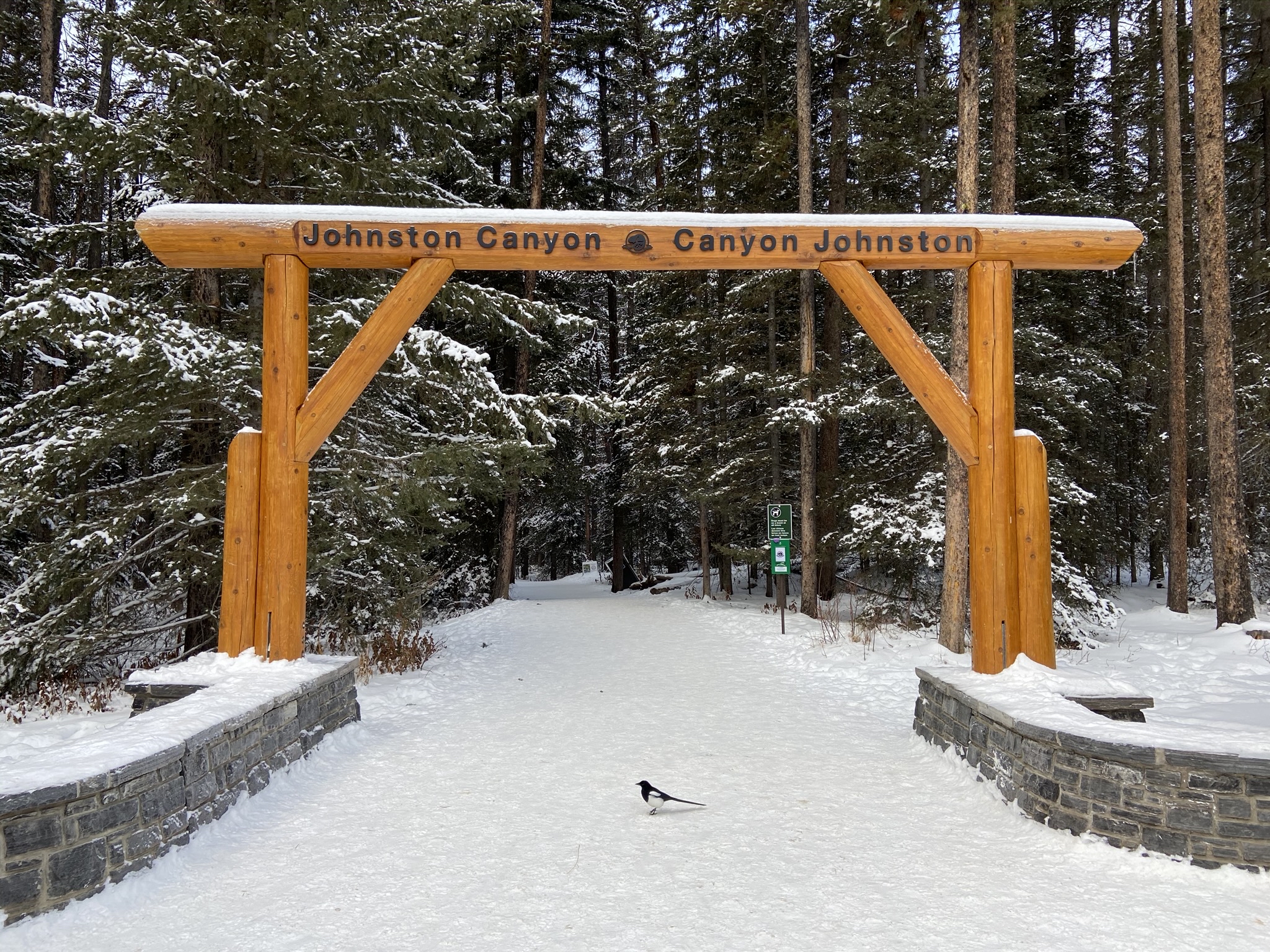 Johnston Canyon Lower and Upper Falls