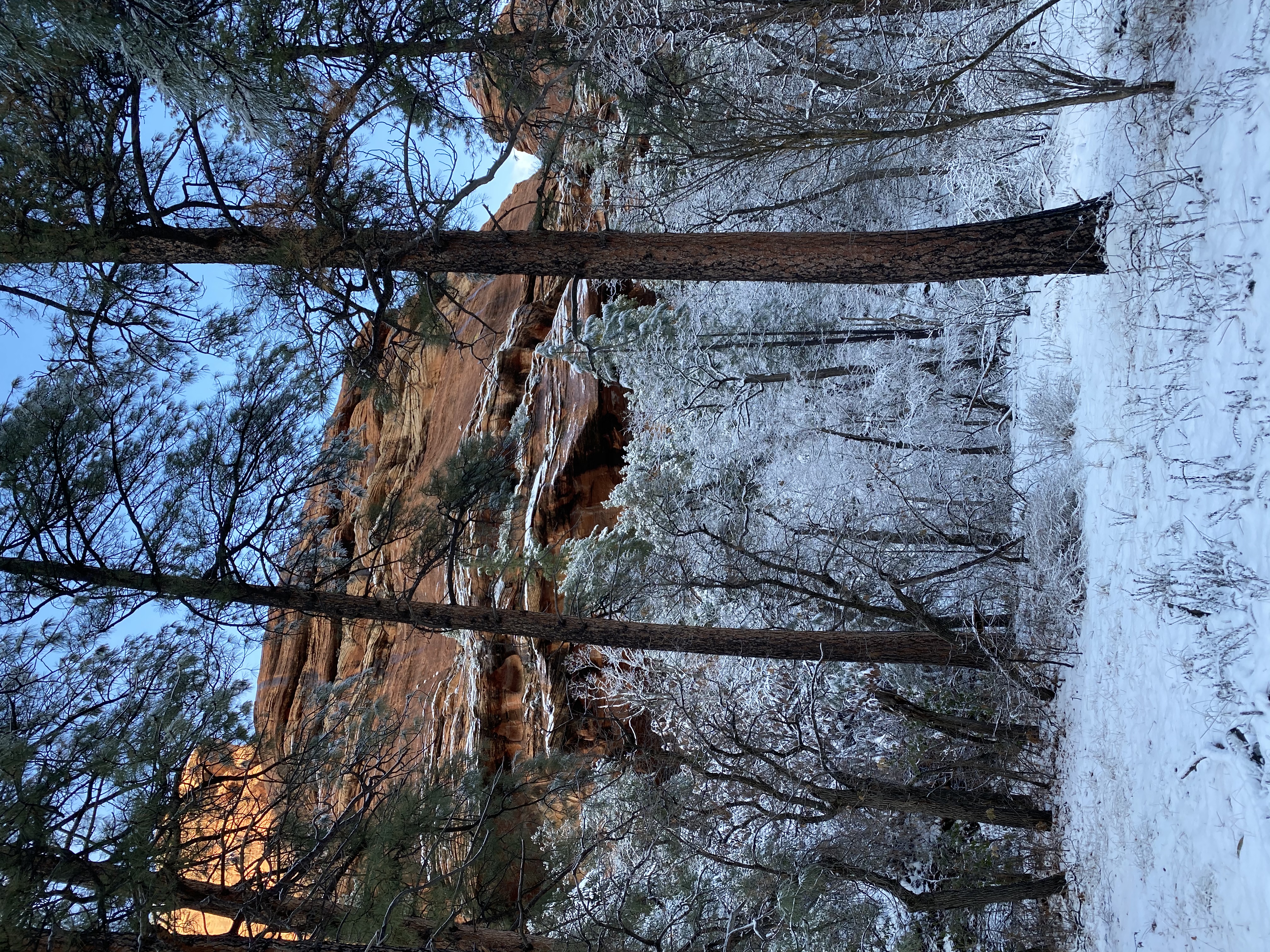 Boynton Canyon Trail