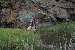 Fly Fish French Creek