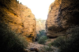 Hike the Leasburg Slot Canyon