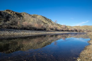 Walk the Paseo del Rio Trail