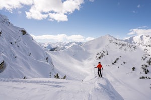 Dive into Winter in Golden, British Columbia