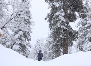 10 Awesome Places to Snowshoe in California