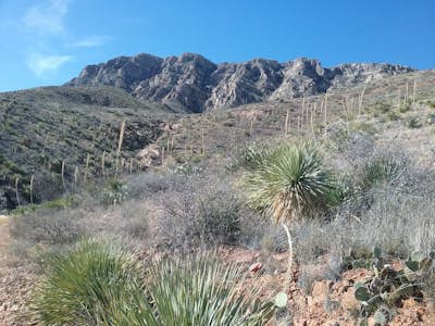 Hike the El Paso Tin Mine Trail