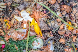 Organic Trash Is Still Trash