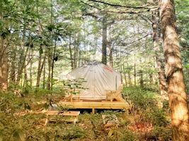Living Water Campsites: Mossy Acres 1