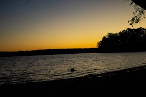 Hike the Lone Star Hiking Trail: Trailhead 1 to Lake Conroe