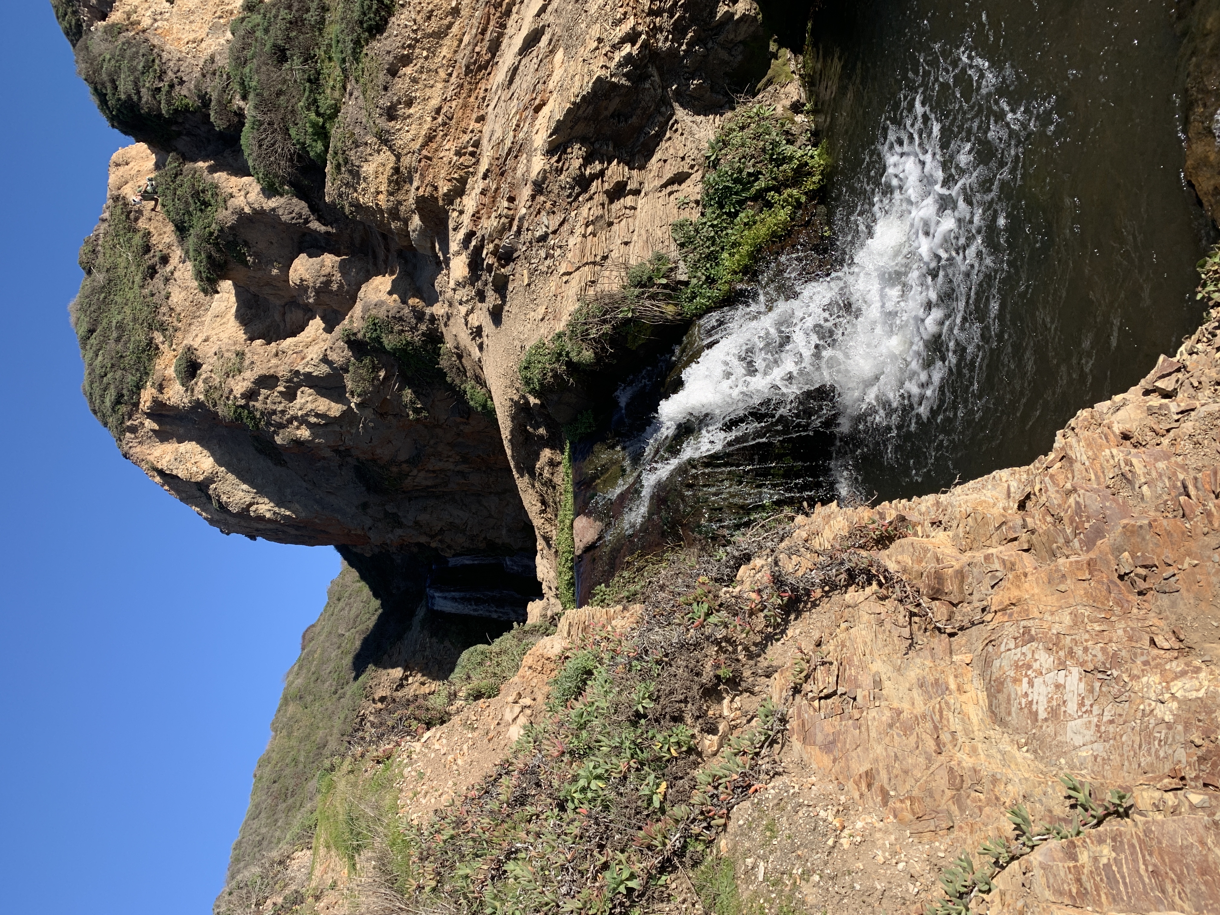 Alamere Falls via Palomarin Trailhead 