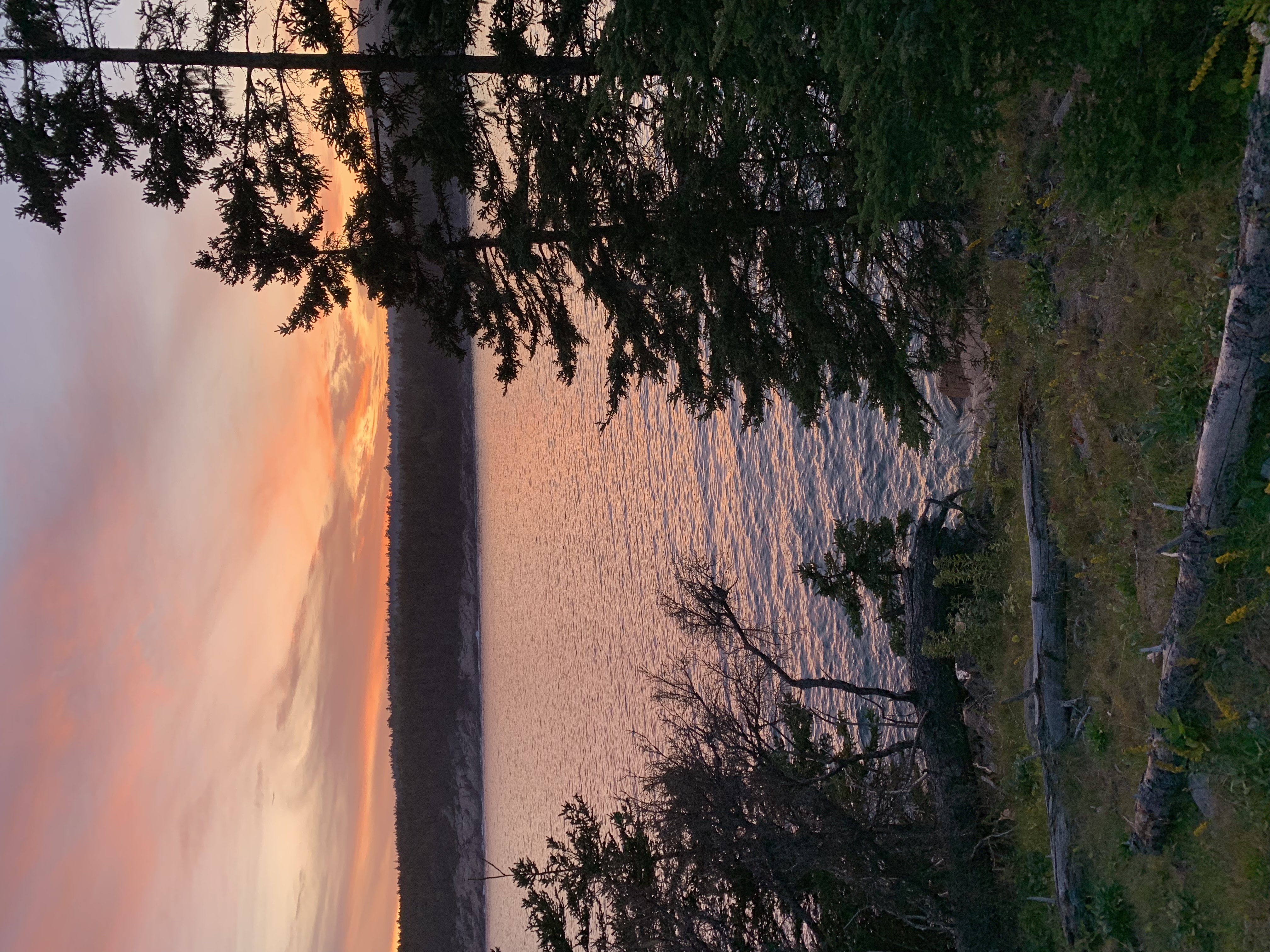 Otter Point