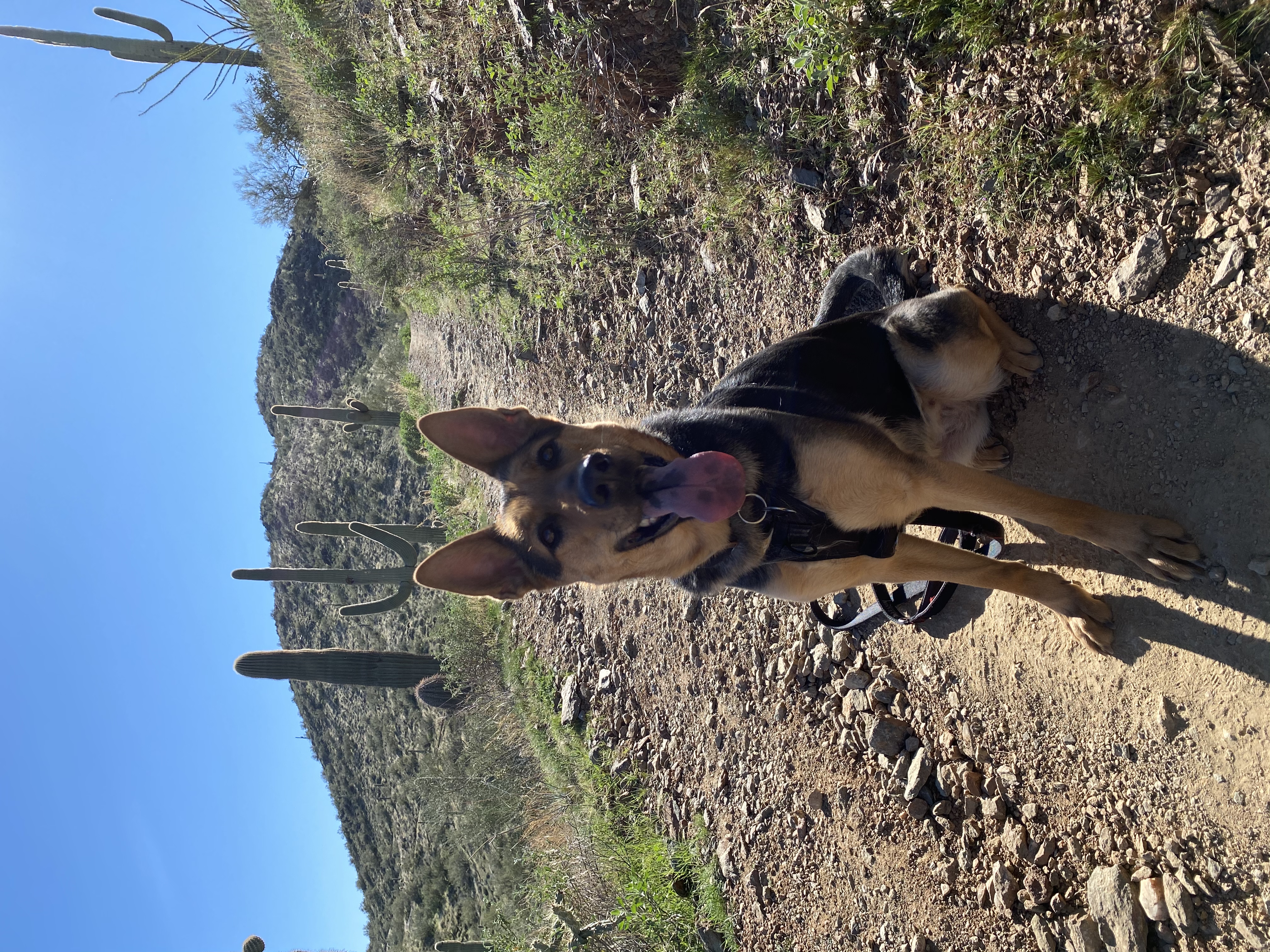 Hike the Go John Trail