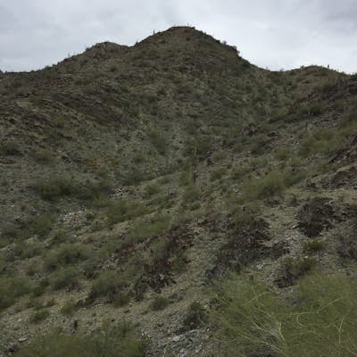 Quartz Ridge Trail