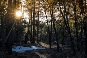 Hike the Upper Faulty Loop