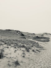 Experience Cape Cod - Dune Shack Trail, Provincetown