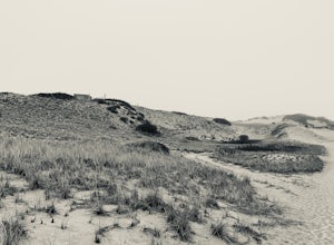 Experience Cape Cod - Dune Shack Trail, Provincetown