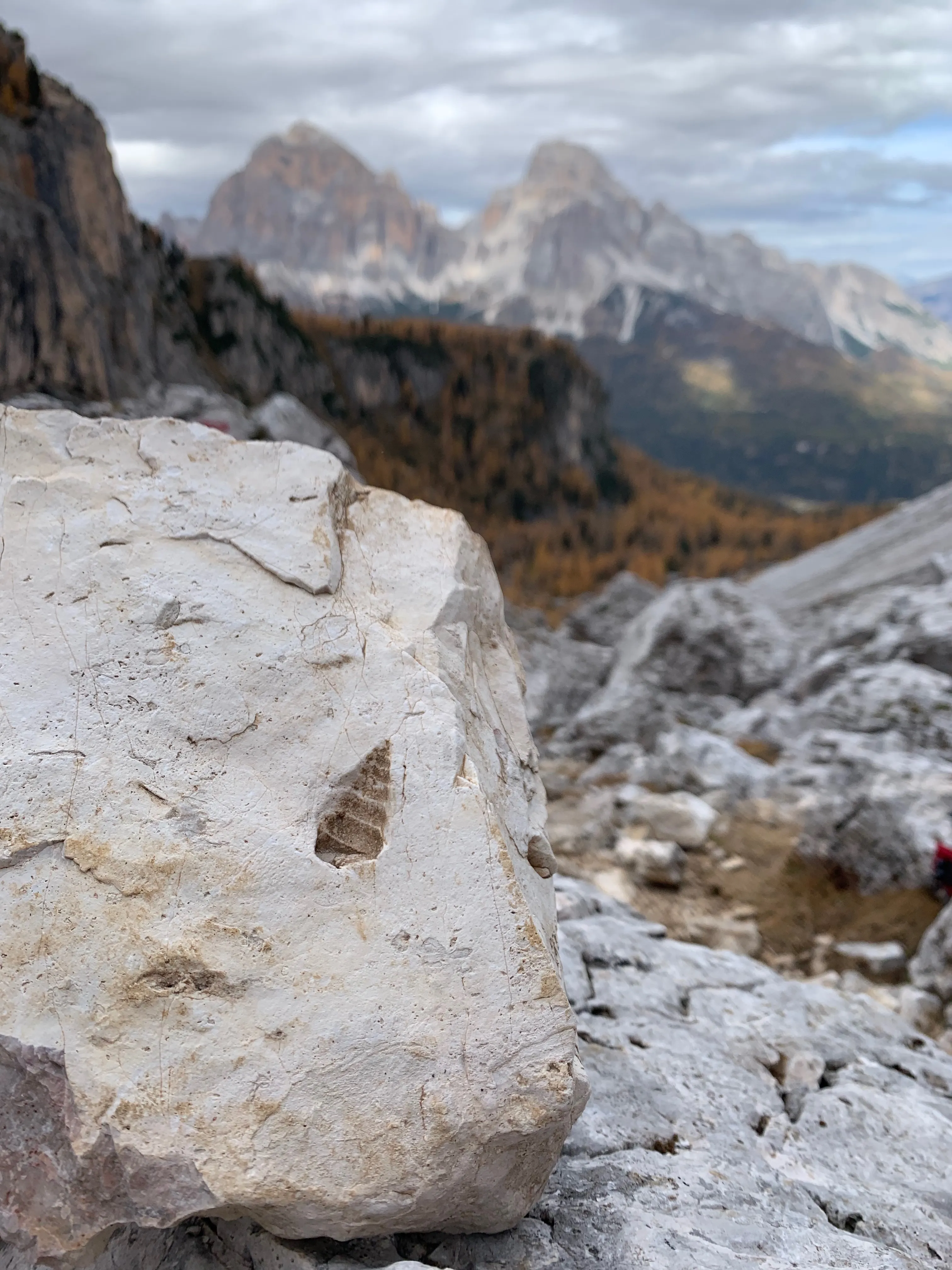 Croda Da Lago Circut 