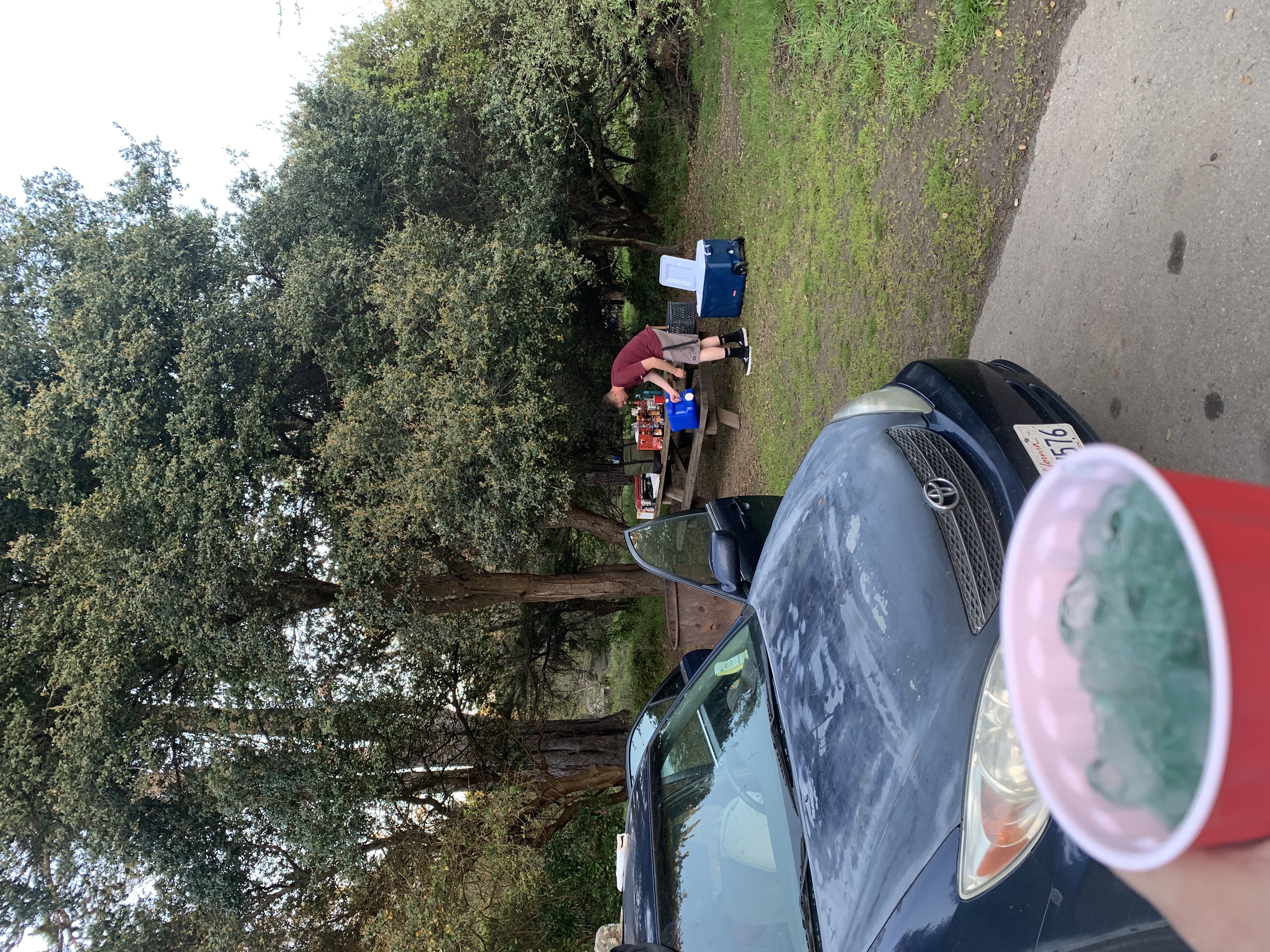 Camp at New Brighton Campground, Capitola, California