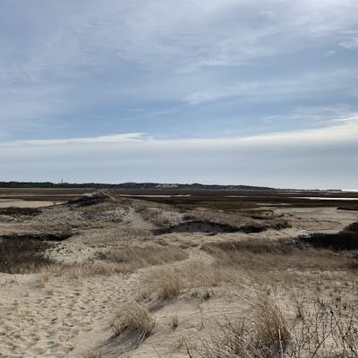 Explore Hatches Harbor and Race Point