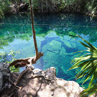 Swim in Cenote Escondido