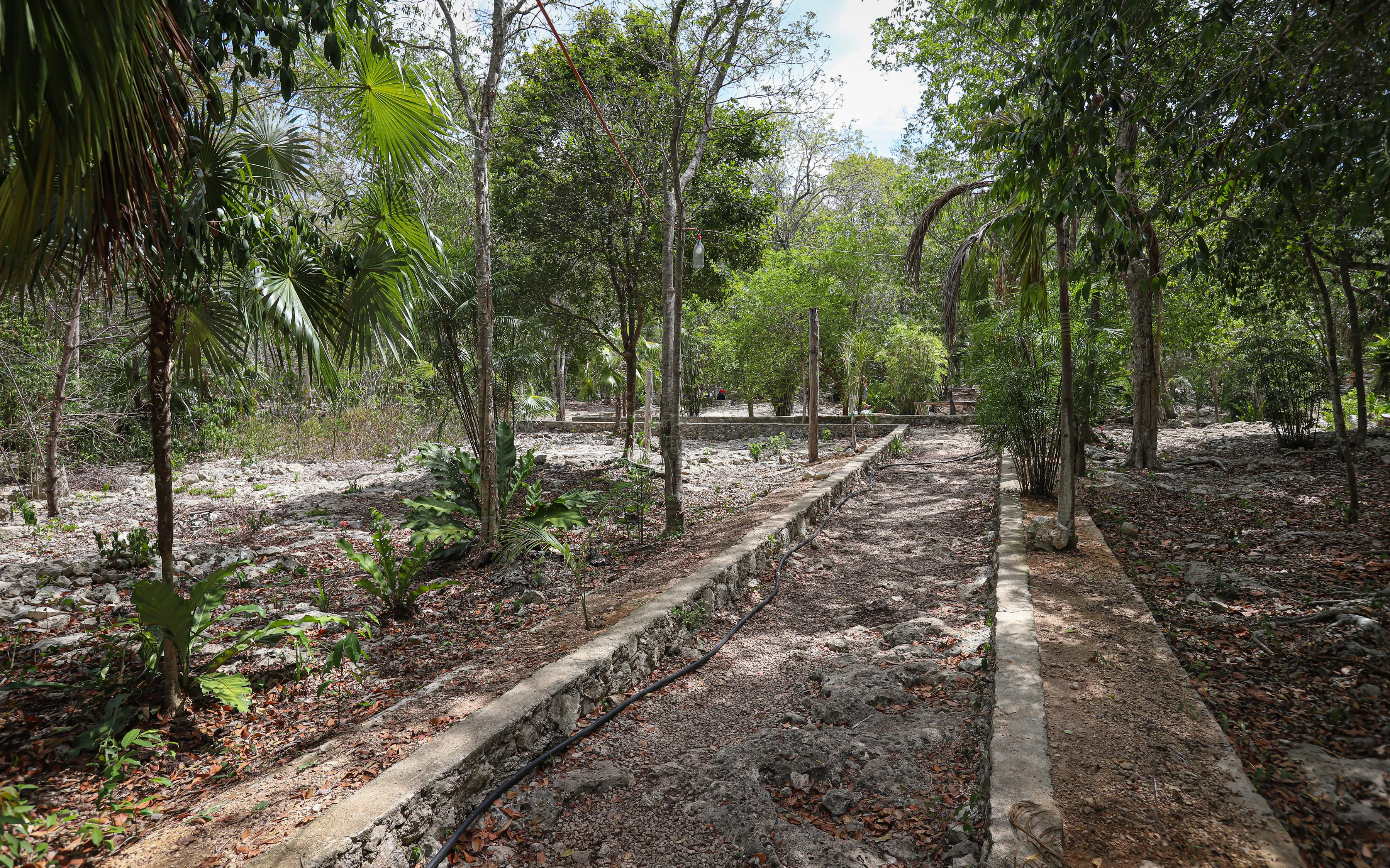 Cenote Calavera