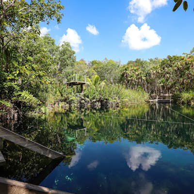 Swim in Cenote Cristal