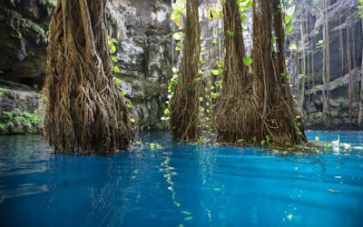 Swim in Cenote Oxman
