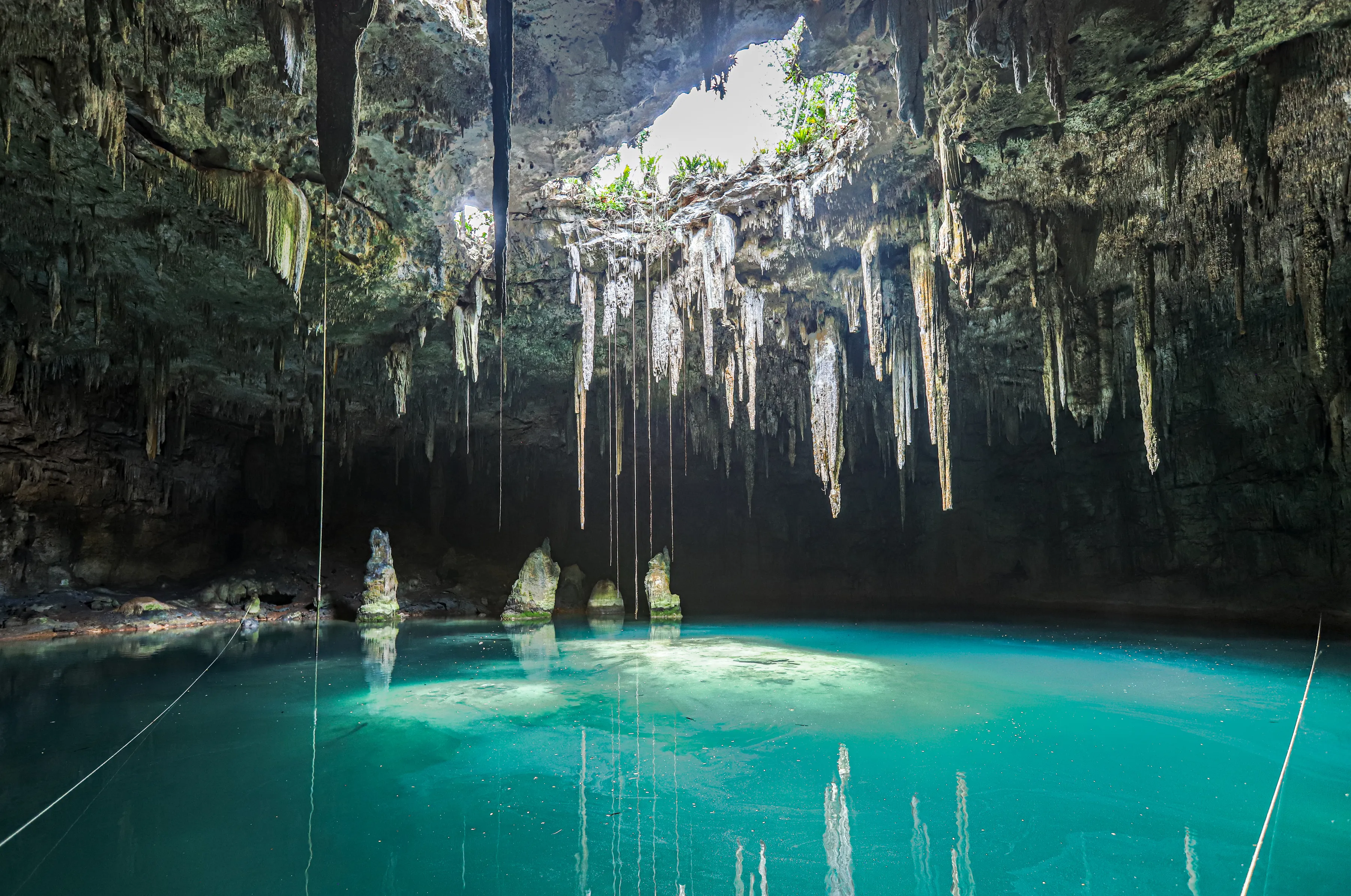 Swim in Cenote Xcanahaltun