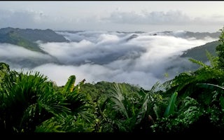 Lakeview Rainforest Glamping