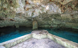 Swim in Cenote Dos Palmas