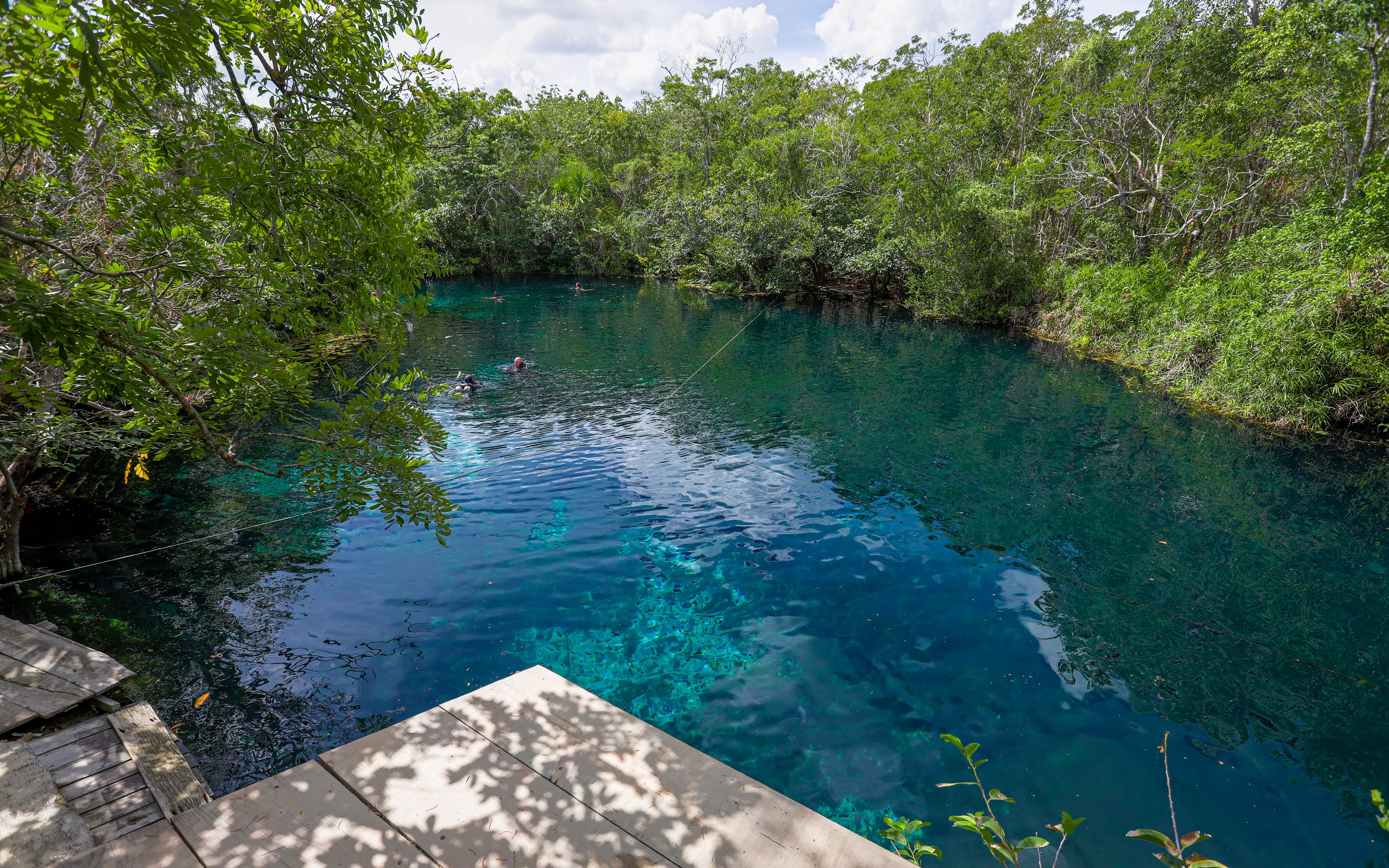 Swim in Cenote Car Wash