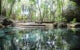 Swim Cenote Tajma-Ha