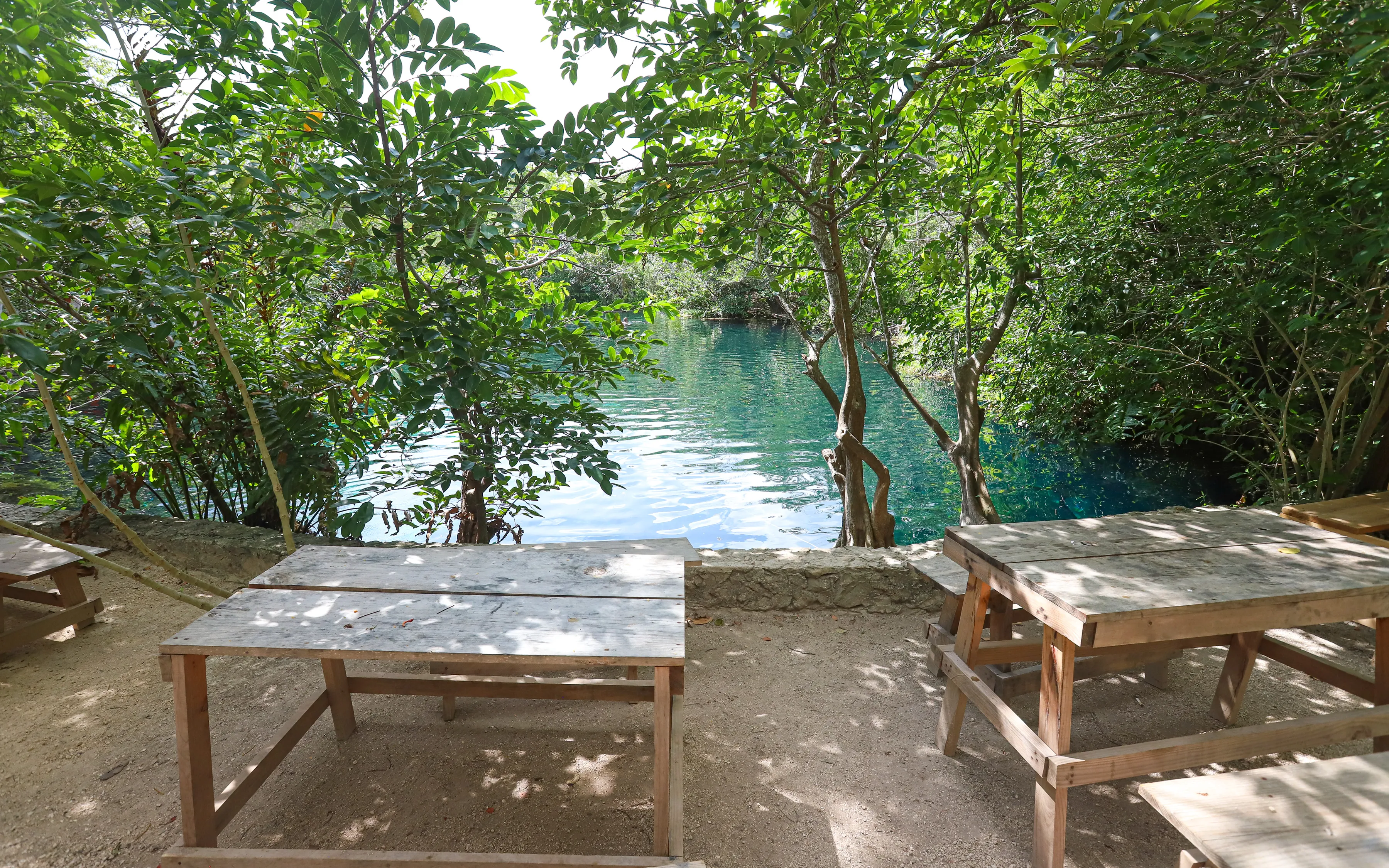 Swim in Cenote Car Wash