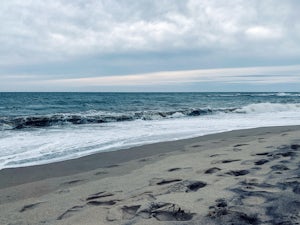 My Letter To The Ocean