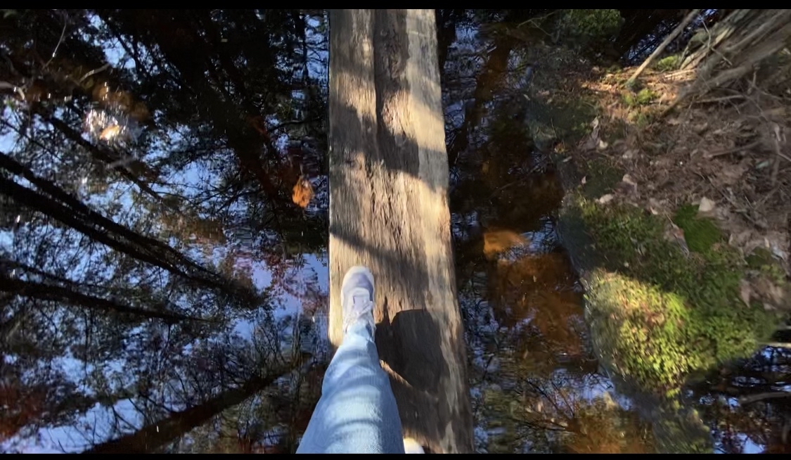 Hike the Ponkapoag Pond Trail