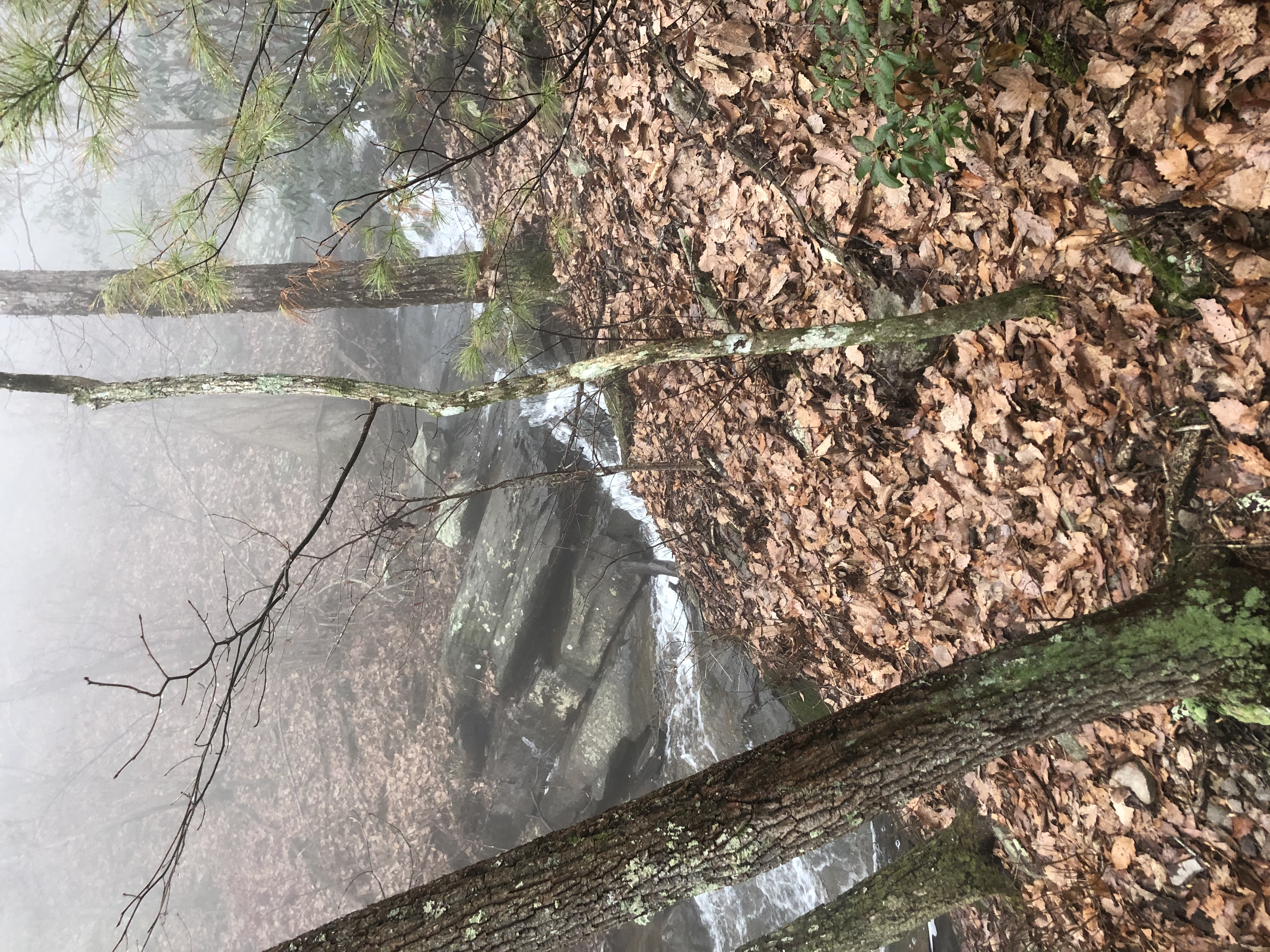 Emery Creek Falls