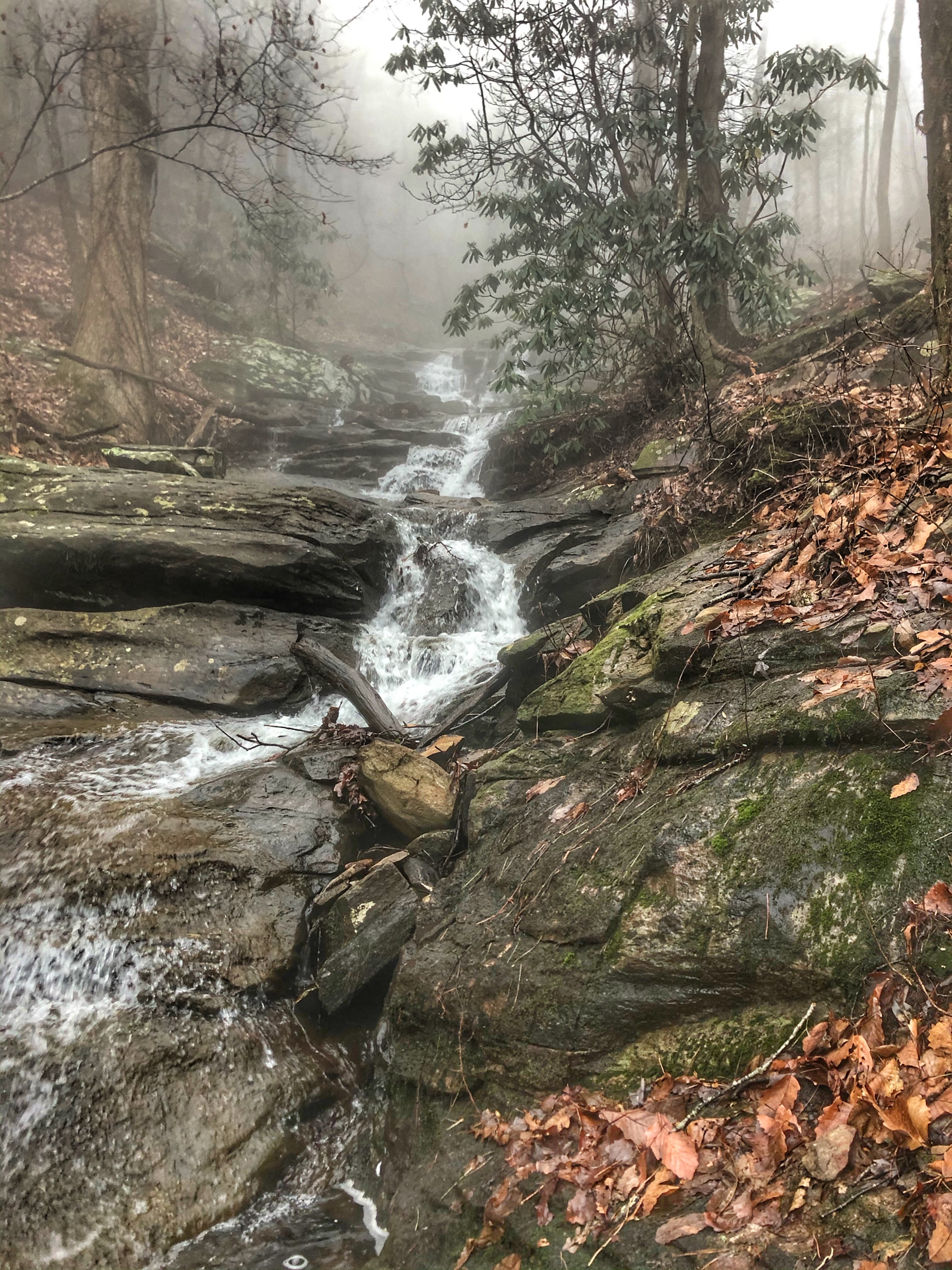Emery Creek Falls