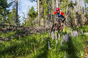 Continental Divide Trail: MacDonald Pass to Priest Pass
