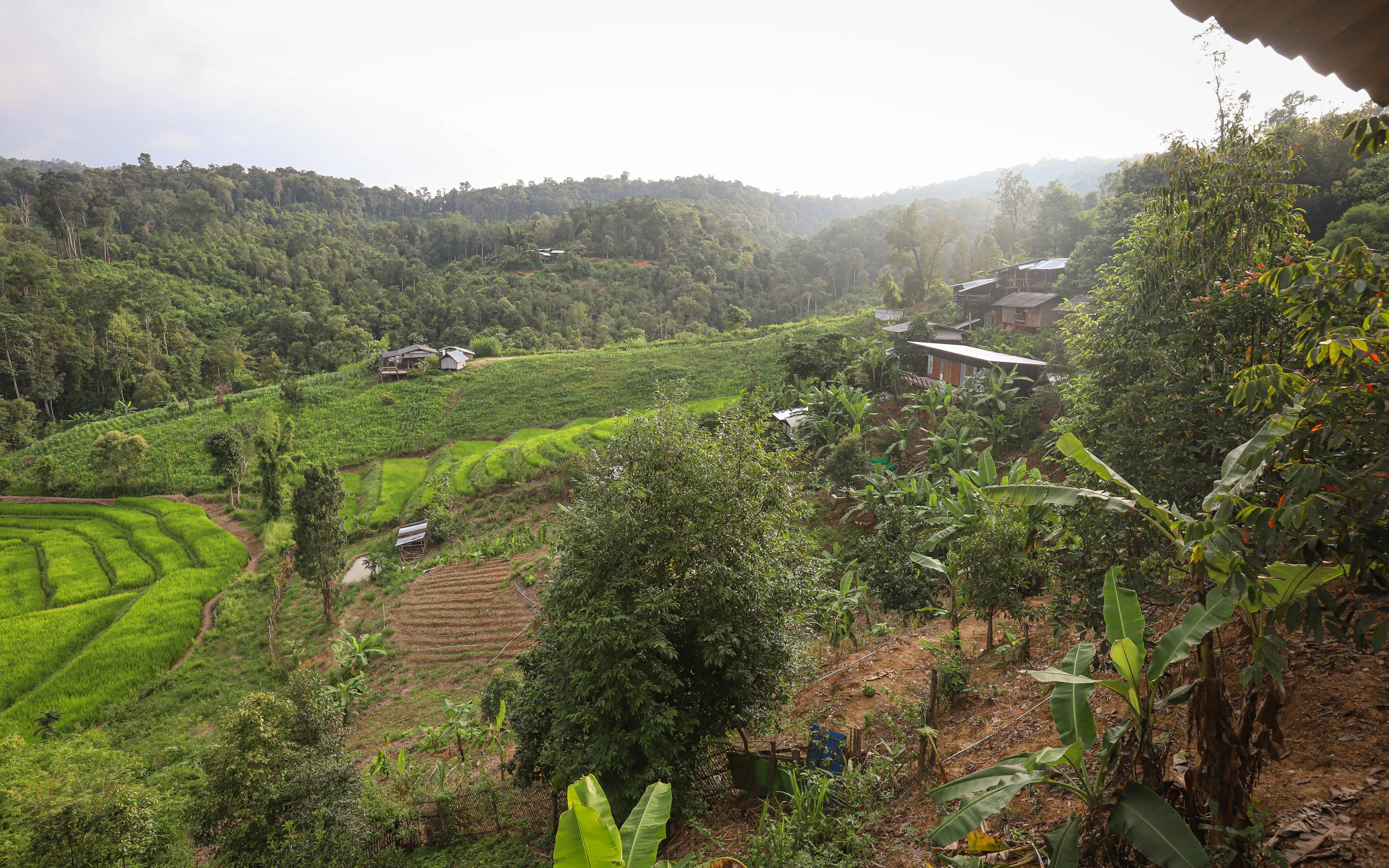 Camp Out at Spicy Villa Eco-Lodge