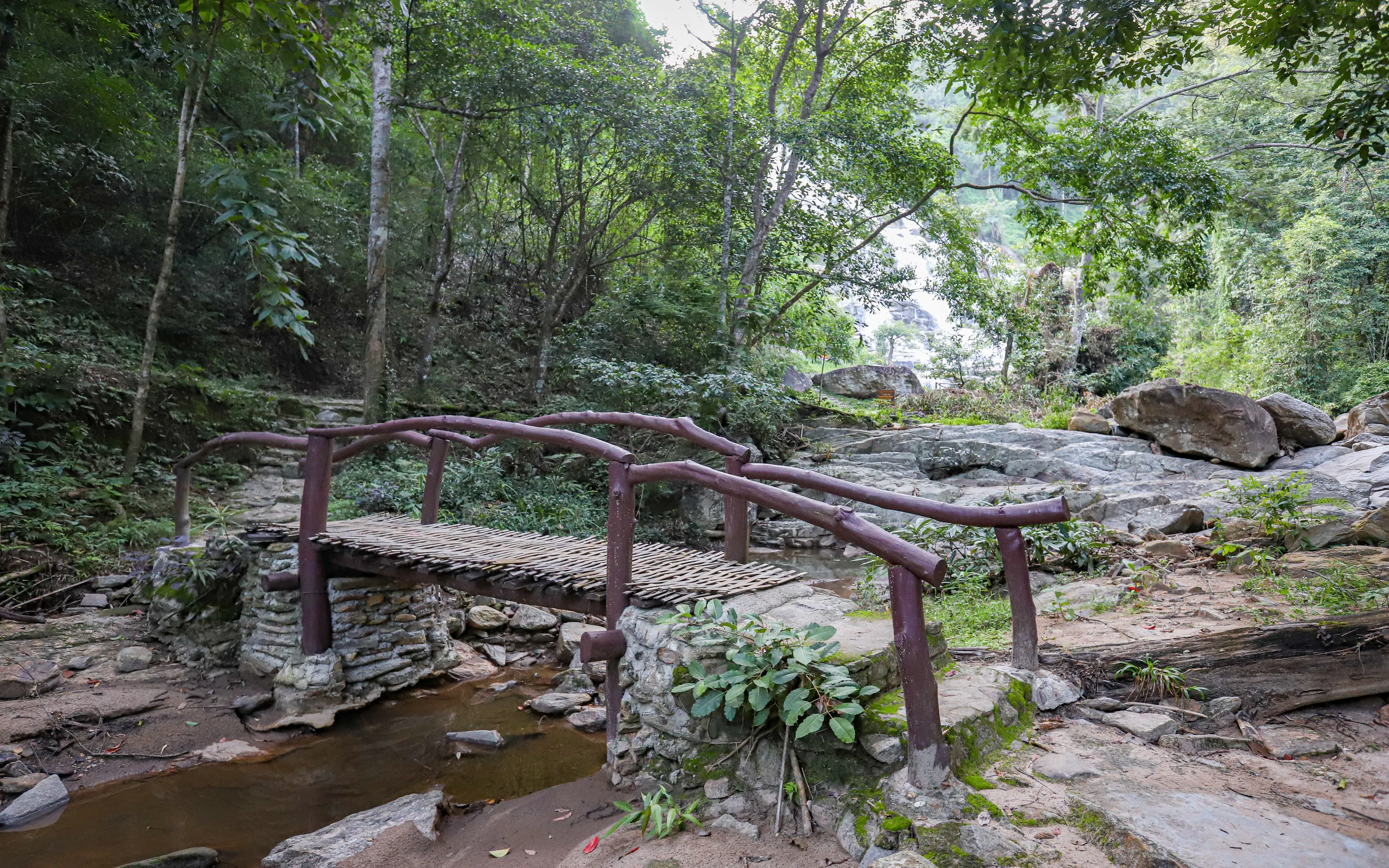 Hike to Mae Ya Waterfall