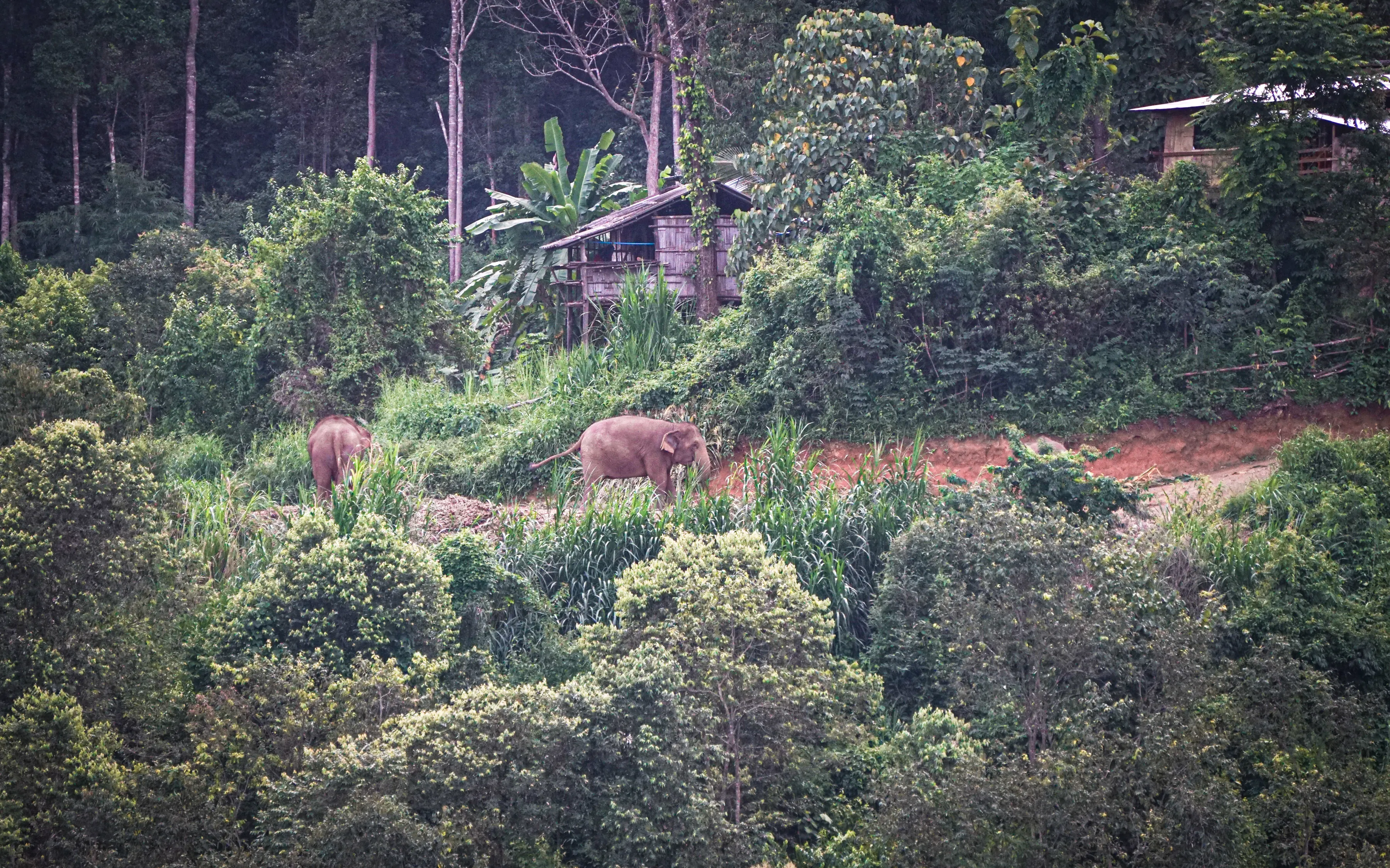 Camp Out at Spicy Villa Eco-Lodge
